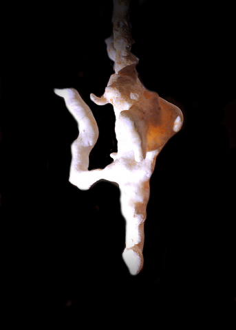 The Buxom Ballerina - Cottonwood Cave - 1/1968